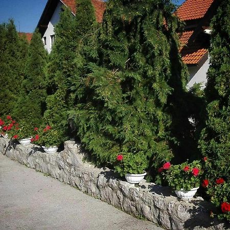 Bozovic Mv Apartments Zlatibor Zewnętrze zdjęcie
