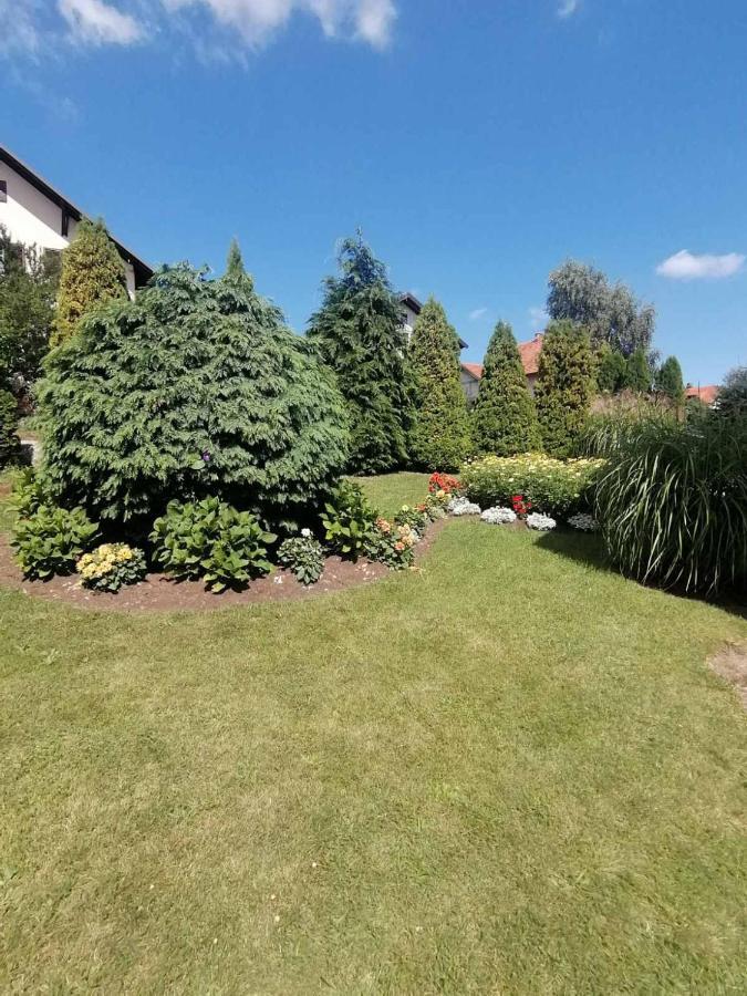 Bozovic Mv Apartments Zlatibor Zewnętrze zdjęcie
