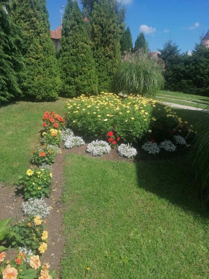 Bozovic Mv Apartments Zlatibor Zewnętrze zdjęcie