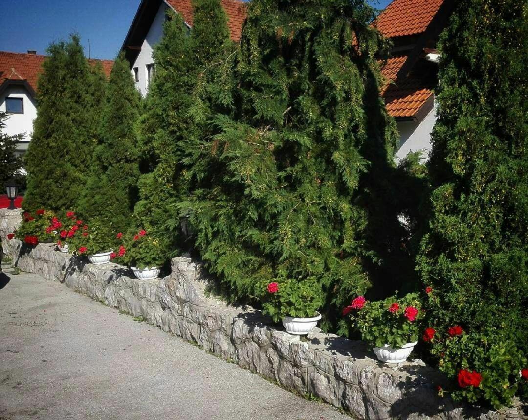 Bozovic Mv Apartments Zlatibor Zewnętrze zdjęcie